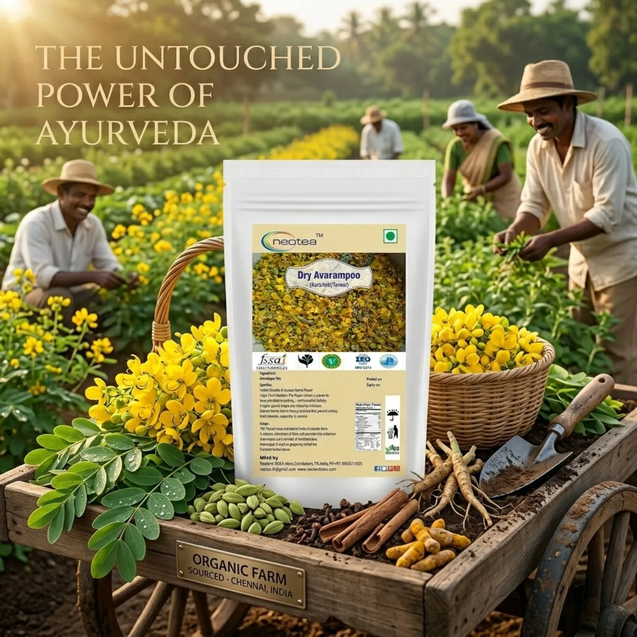 Neotea Dry Avarampoo Flower , Dried Senna Auriculata Flowers, Natural Herbal Ingredient, Traditional Herbal Tea & Beverage Preparation
