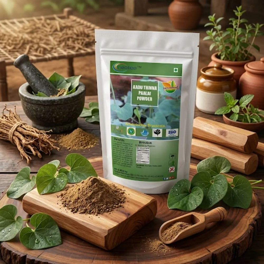 Aadu Thinna Paalai Powder | Iswar Theendaapaalai | Aristolochia Bracteolata | Indian Birthwort | Natural Remedy for Bacterial Skin Infections | Herbal Skin Support