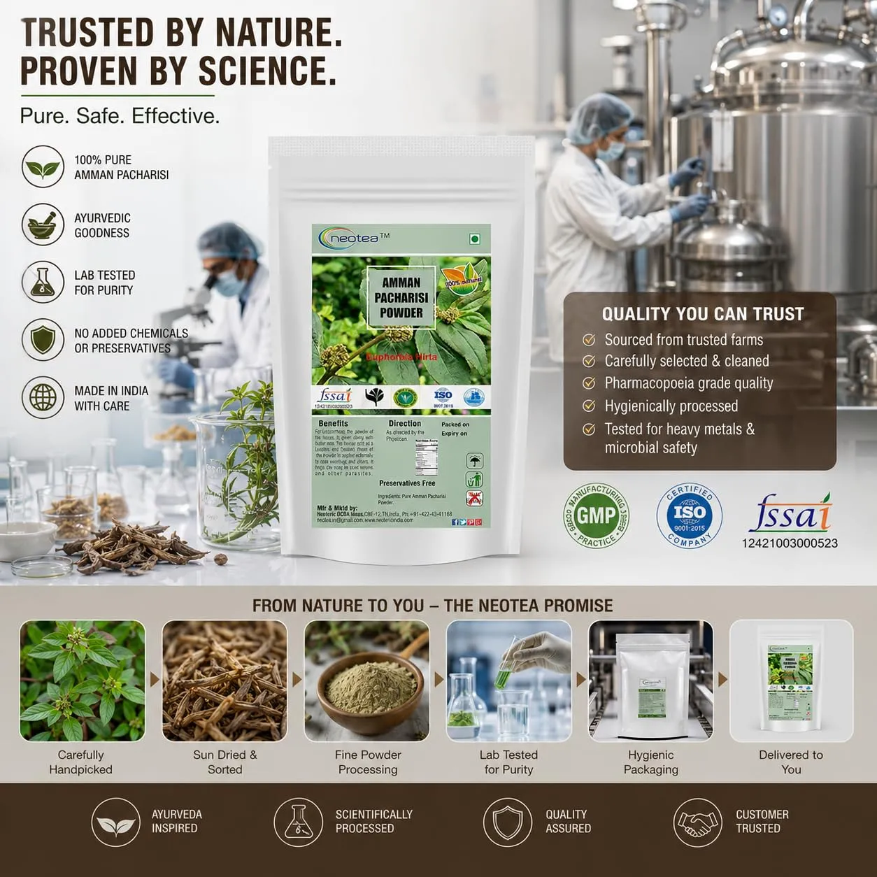 Amman Pacharisi Powder | Euphorbia Hirta Herbal Powder | 100% Natural Dried Herb Powder | Traditional Ayurvedic Herb | Plant-Based Wellness Ingredient