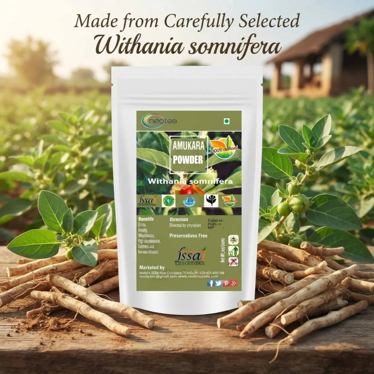 Amukkara Powder 100% Natural Herbal Powder | Traditional Ayurvedic Herb | Pure Amukkara Root Powder | No Added Preservatives | Natural Herbal Wellness Product