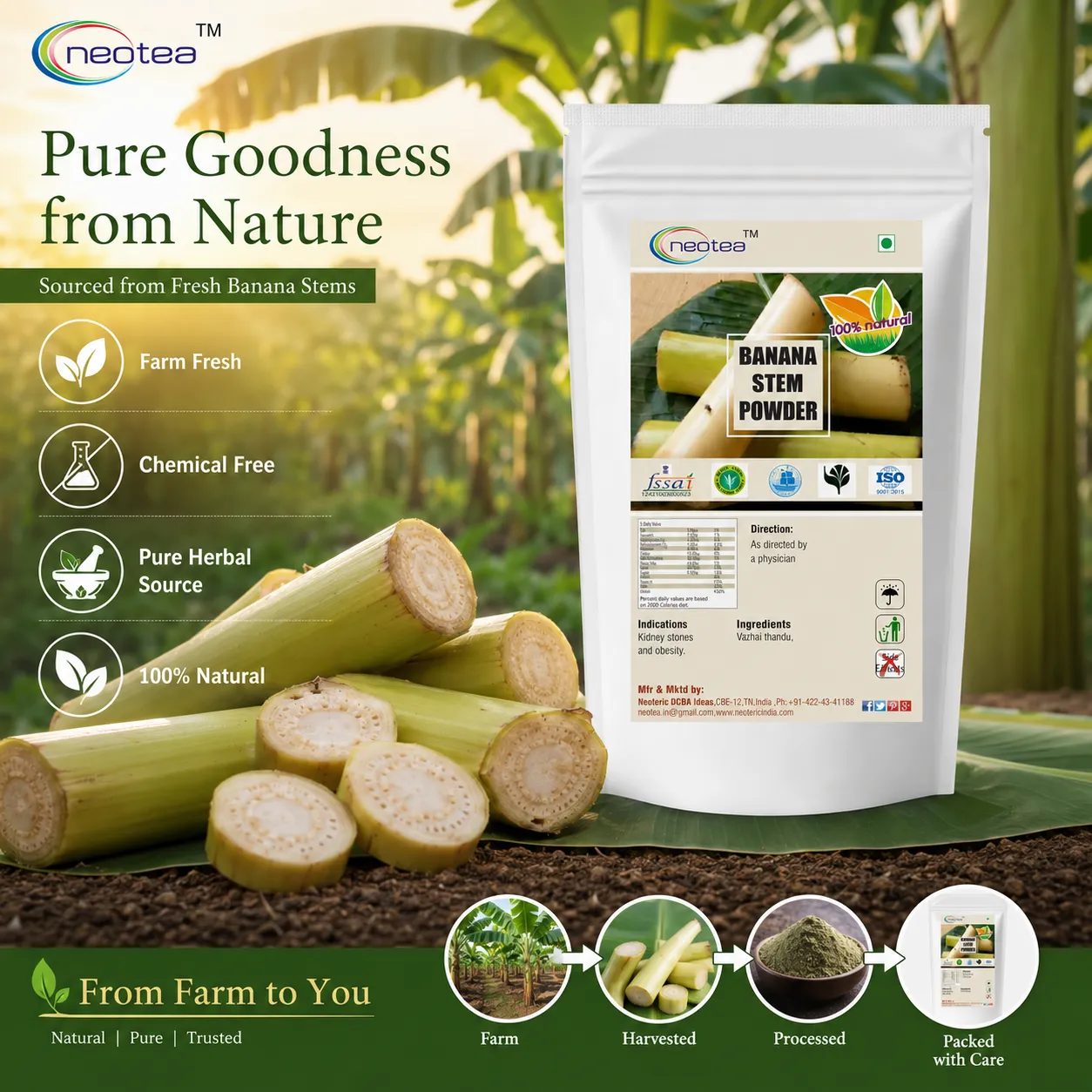 Banana Stem Powder 100% Natural Banana Plant Stem Powder, Herbal Food Ingredient for Daily Wellness, Traditional Indian Ingredient, Easy to Use, No Added Preservatives