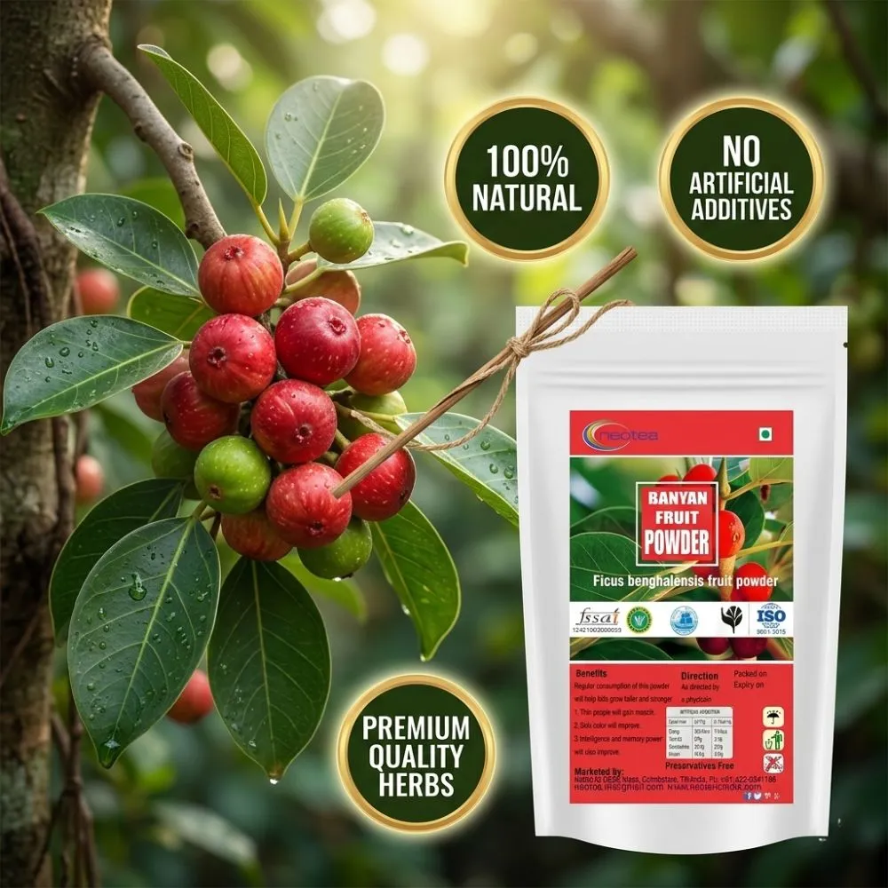 Banyan Fruit Powder | Natural Banyan Tree Fruit Powder | Traditional Herbal Ingredient | Fine Ground Botanical Powder | 100% Natural