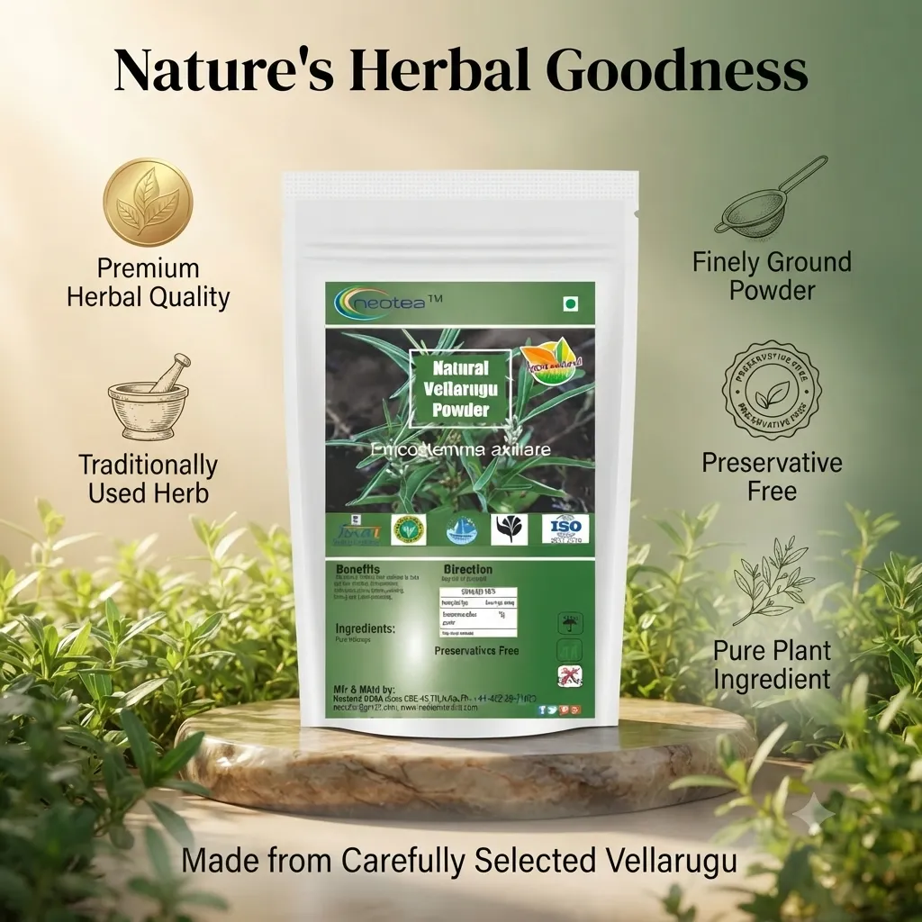 Vellarugu Powder Indian Whitehead, Chota Chirayata, Vallari Powder, Adenema Hissopifolia, Chuvannaerikk, Akwan, Madar, Aak, Arka – Natural Herbal Supplement for Digestion, Skin Health & Immunity – No Preservatives, Pure Organic Powder