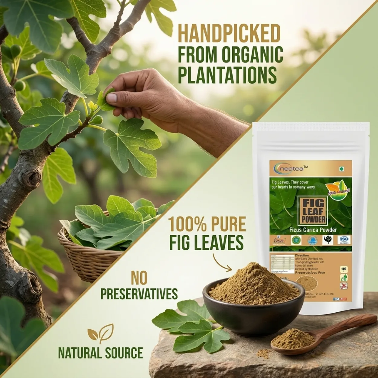 Fig Leaf Powder | Dried Fig Leaves Powder | Anjeer Leaf Herbal Powder | 100% Natural & Pure | Traditional Herbal Ingredient | For Wellness, Herbal Drinks & Daily Use