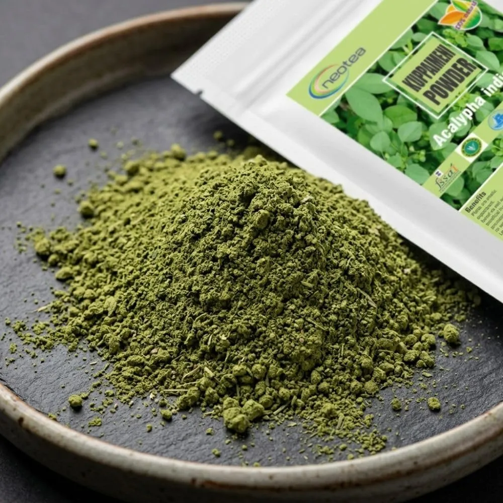 Indian Acalypha Indica | Kuppaimeni Leaf Powder 300 GM | Ayurveda Herbal Skin & Hair Care | 100% Natural & Chemical-Free | Helps in Skin Allergy, Pimples, and Detox | Pure Indian Nettle Powder