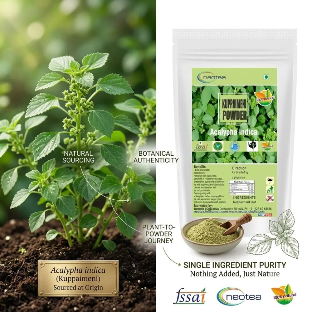 Indian Acalypha Indica | Kuppaimeni Leaf Powder 300 GM | Ayurveda Herbal Skin & Hair Care | 100% Natural & Chemical-Free | Helps in Skin Allergy, Pimples, and Detox | Pure Indian Nettle Powder