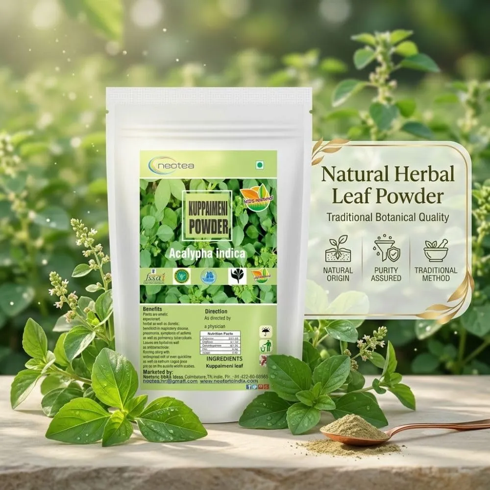Indian Acalypha Indica | Kuppaimeni Leaf Powder 300 GM | Ayurveda Herbal Skin & Hair Care | 100% Natural & Chemical-Free | Helps in Skin Allergy, Pimples, and Detox | Pure Indian Nettle Powder
