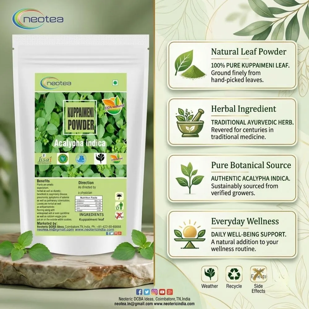 Indian Acalypha Indica | Kuppaimeni Leaf Powder 300 GM | Ayurveda Herbal Skin & Hair Care | 100% Natural & Chemical-Free | Helps in Skin Allergy, Pimples, and Detox | Pure Indian Nettle Powder