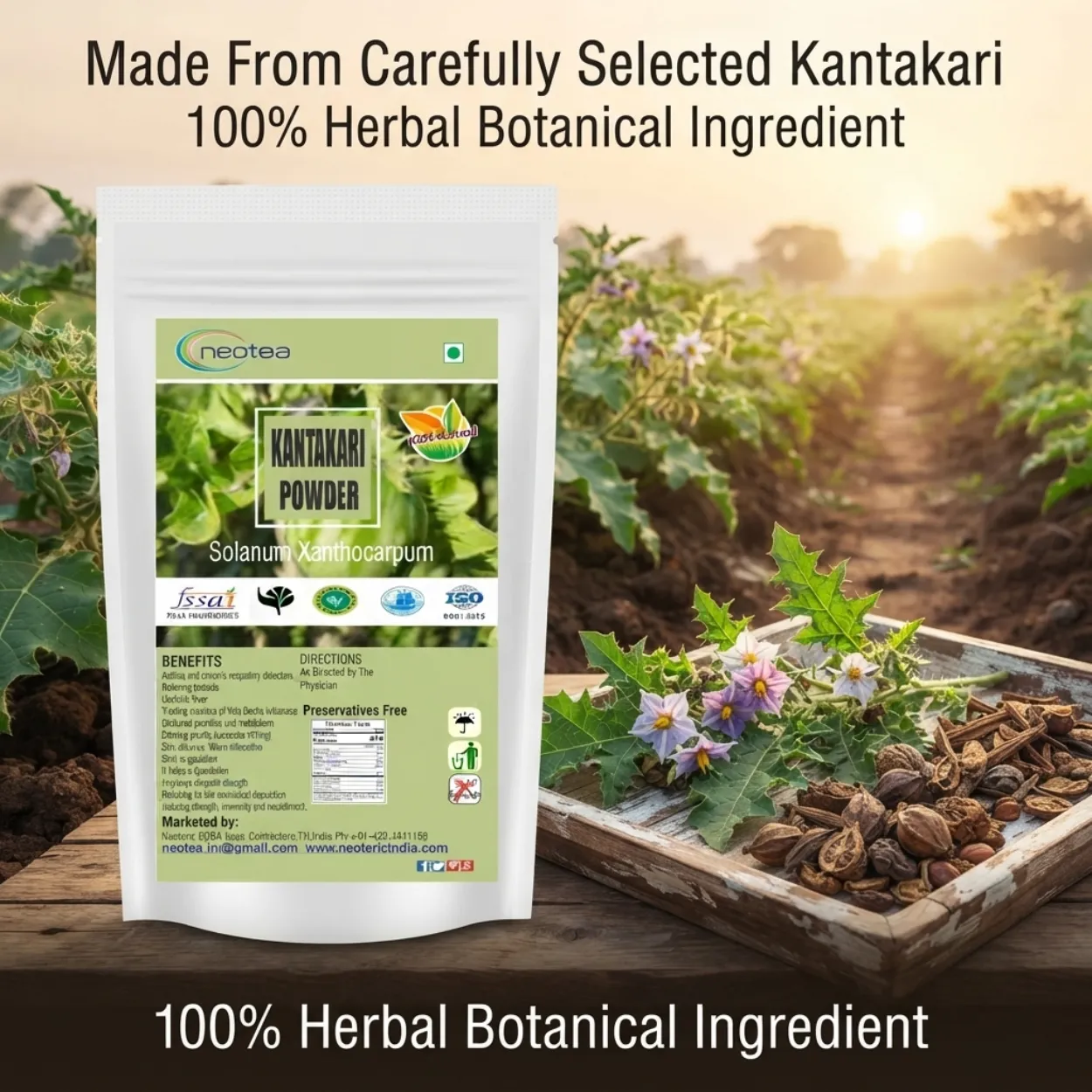 Kantakari Powder 100% Natural Herbal Powder | Kantakari Ayurvedic Herb | Traditional Indian Herb for Daily Wellness | Fine Ground Herbal Powder