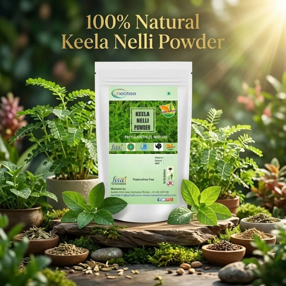 Keelanelli Powder | 100% Natural Pure Keelanelli Herb | Bhumyamalaki Powder | Phyllanthus Niruri | Traditional Ayurvedic Herbal Powder | No Preservatives