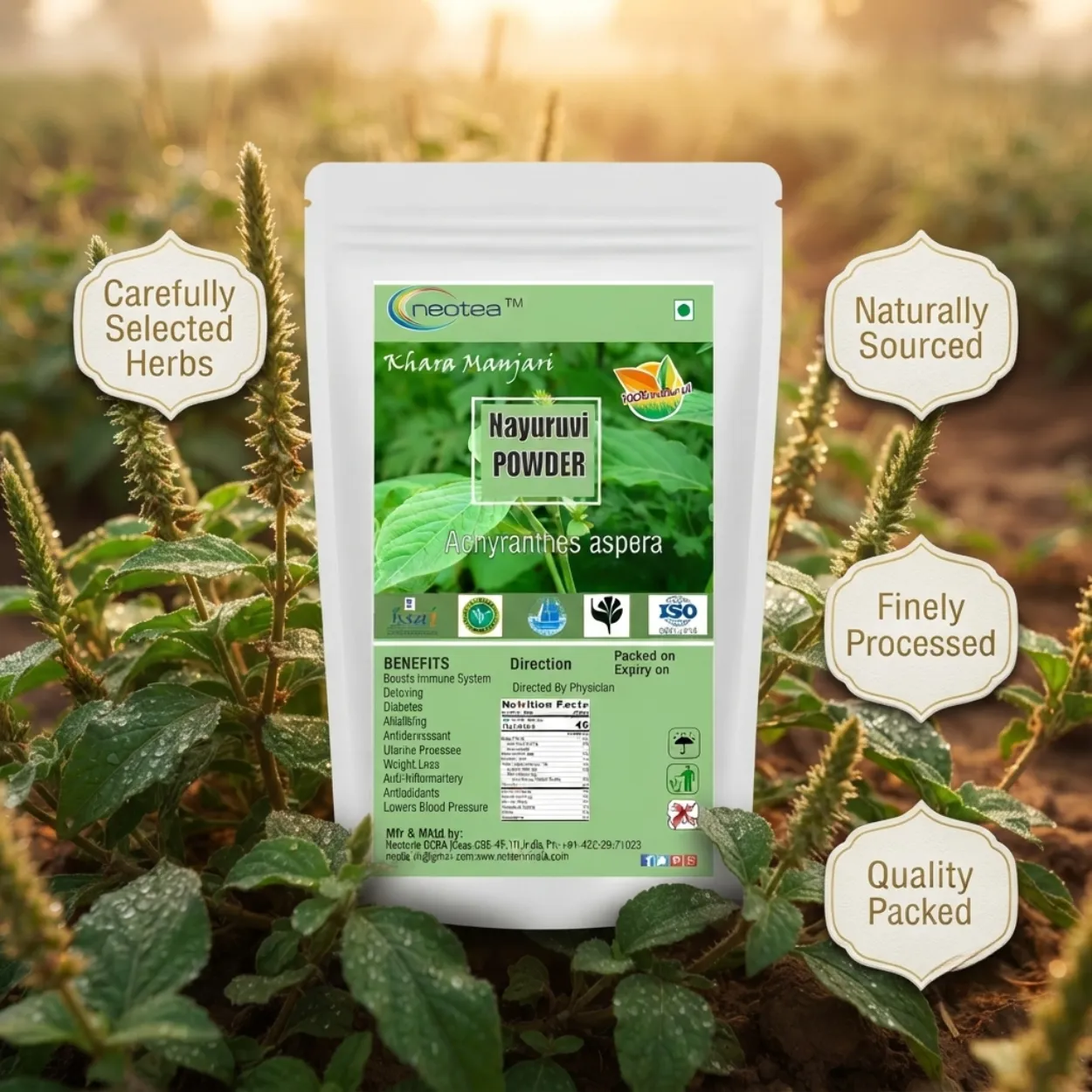 Nayuruvi Powder 100% Natural Herbal Powder | Nayuruvi Plant Powder | Ayurvedic Herbal Wellness Ingredient | Traditionally Used Herb | Pure & Natural