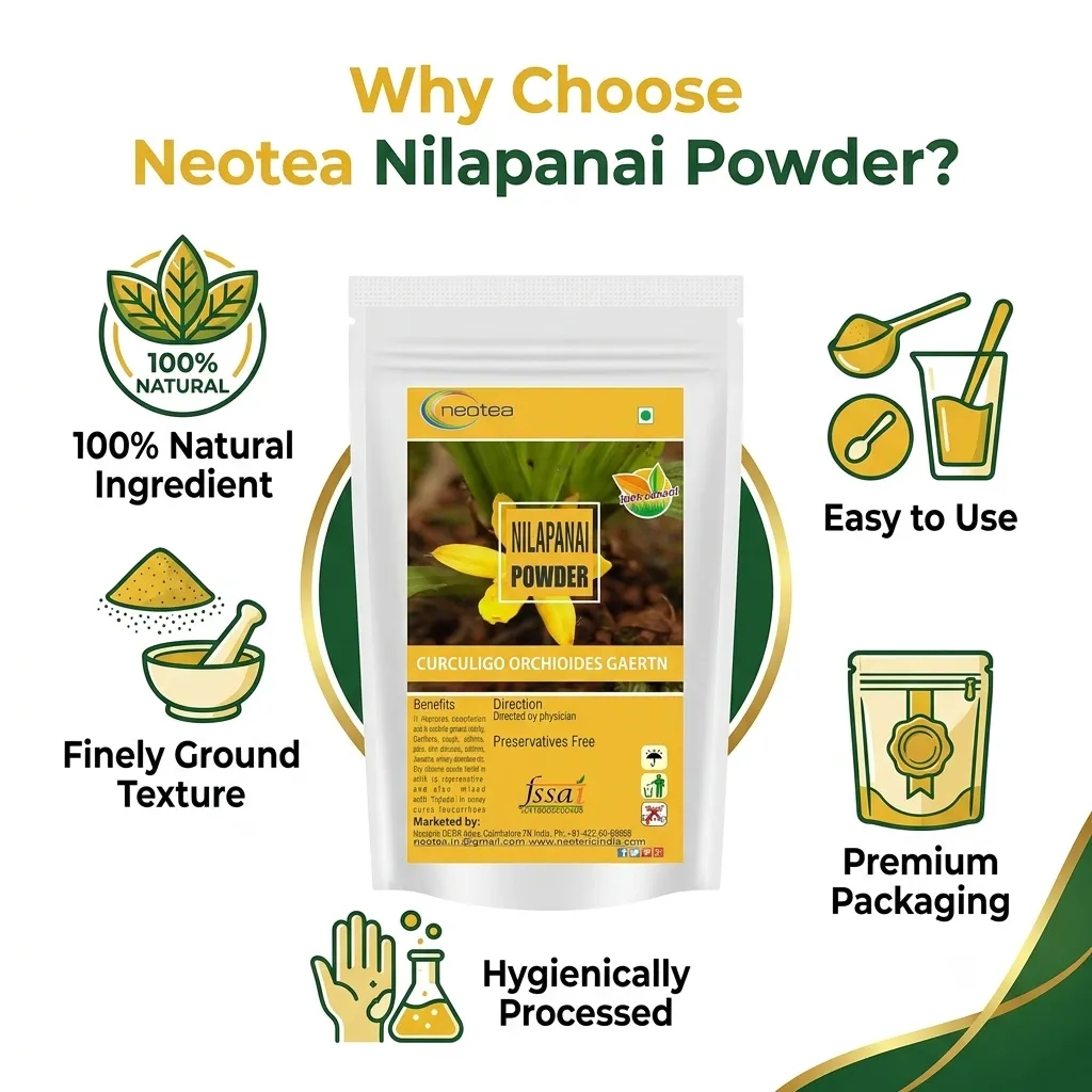 Nilapanai Kilangu Powder | Black Musli (Kali Musli) | Curculigo Orchioides | Nelpana | Nelamuli | Natural Nelatadi | Boosts Energy & Stamina | Improves Immunity | Supports Reproductive Health | Bone & Joint Support | Healthy Digestion
