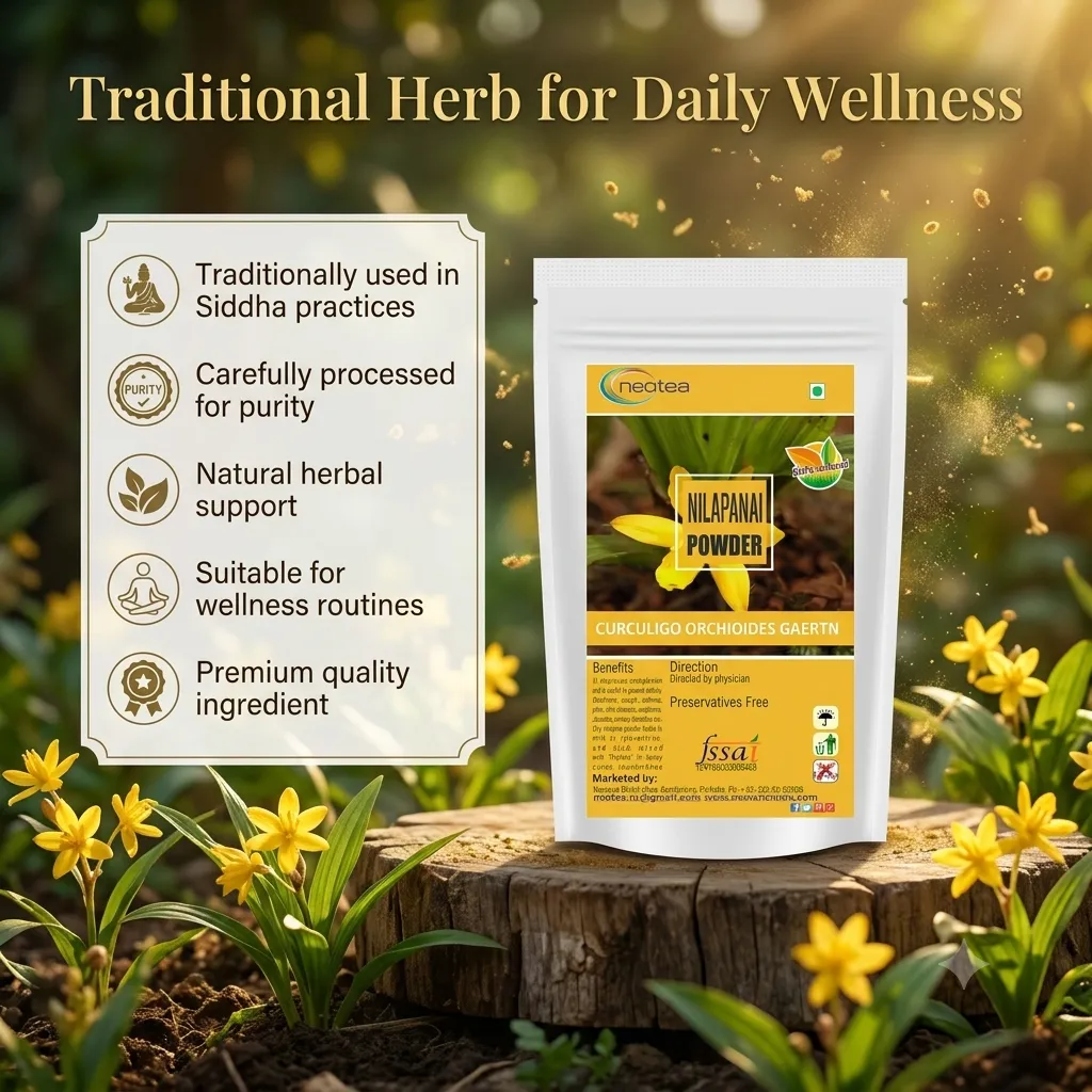 Nilapanai Kilangu Powder | Black Musli (Kali Musli) | Curculigo Orchioides | Nelpana | Nelamuli | Natural Nelatadi | Boosts Energy & Stamina | Improves Immunity | Supports Reproductive Health | Bone & Joint Support | Healthy Digestion