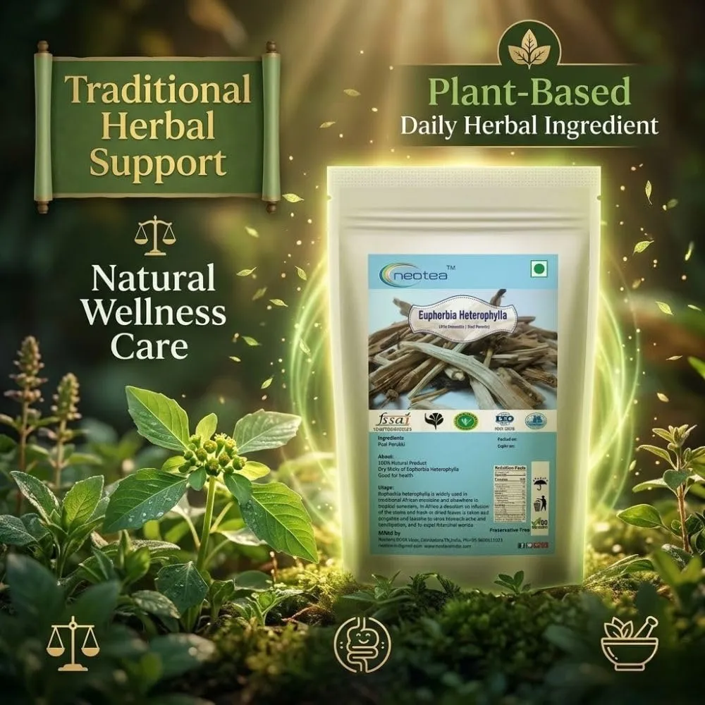 Paal Perukki (Wild Poinsettia/Euphorbia Heterophylla), – Natural Herbal Powder for Digestive Health, Detox, and Wellness – Pure, Dried Wild Poinsettia for Ayurvedic Use and Medicinal Remedies