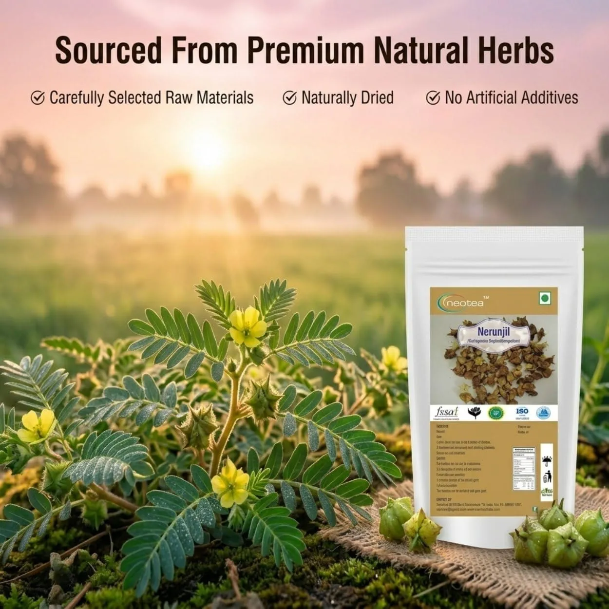 Nerunjil Whole Herb | 100% Natural Dried Nerunjil Plant | Traditional Indian Herbal Ingredient | Carefully Selected & Naturally Dried Raw Herb | For Traditional Preparations