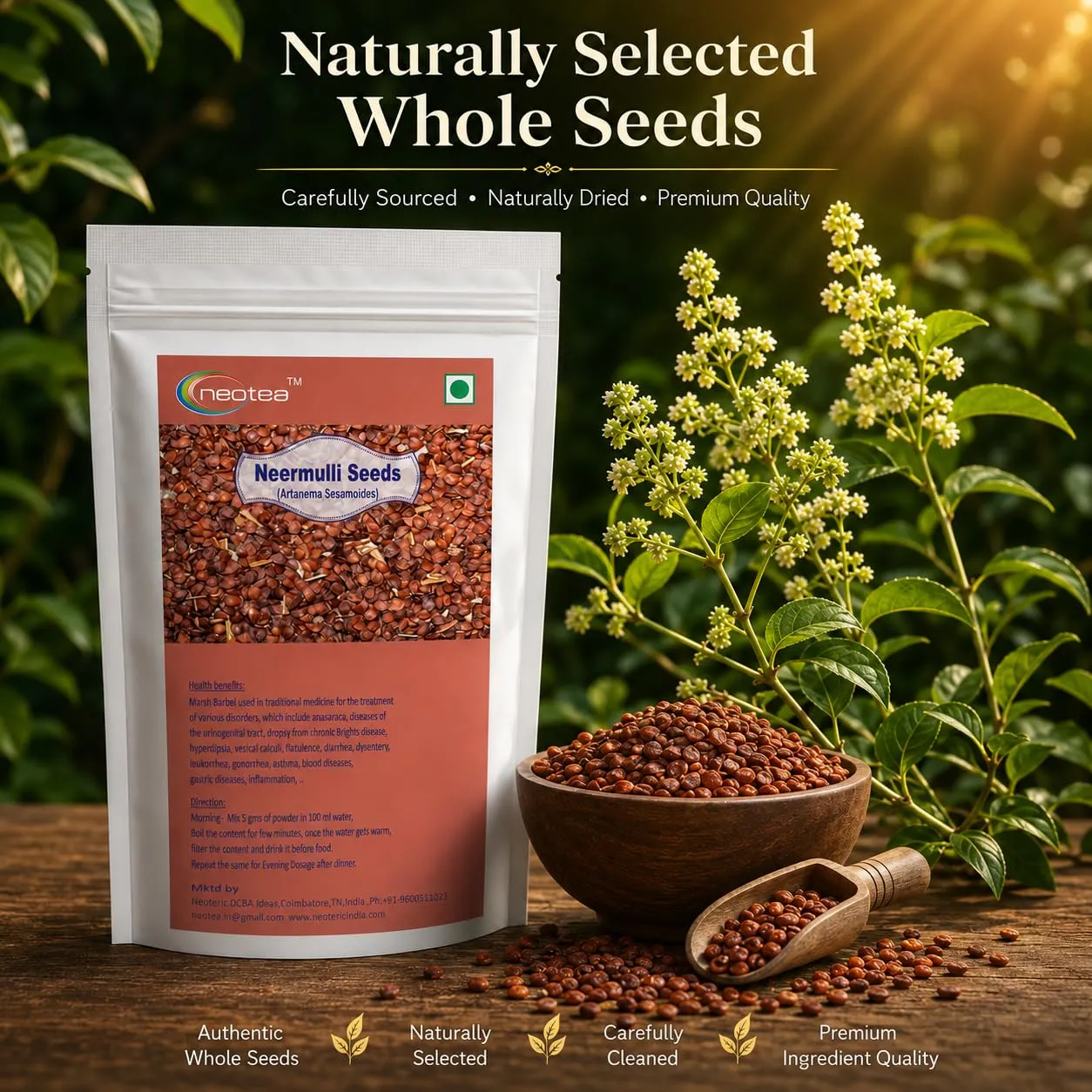 Neermulli Seeds | Natural Whole Neermulli Seeds | Premium Quality Dried Herbal Seeds | Carefully Cleaned & Packed | Traditional Ingredient for Everyday Use | 100% Natural