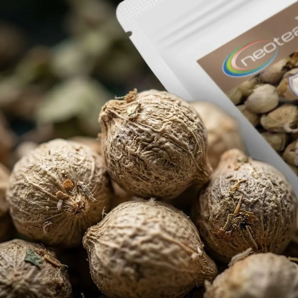 Paneer Dodi Raw Herb | Paneer Dodi Whole Dried Herb | Withania coagulans Dried Fruits | Traditional Indian Herbal Ingredient | Naturally Dried & Carefully Packed