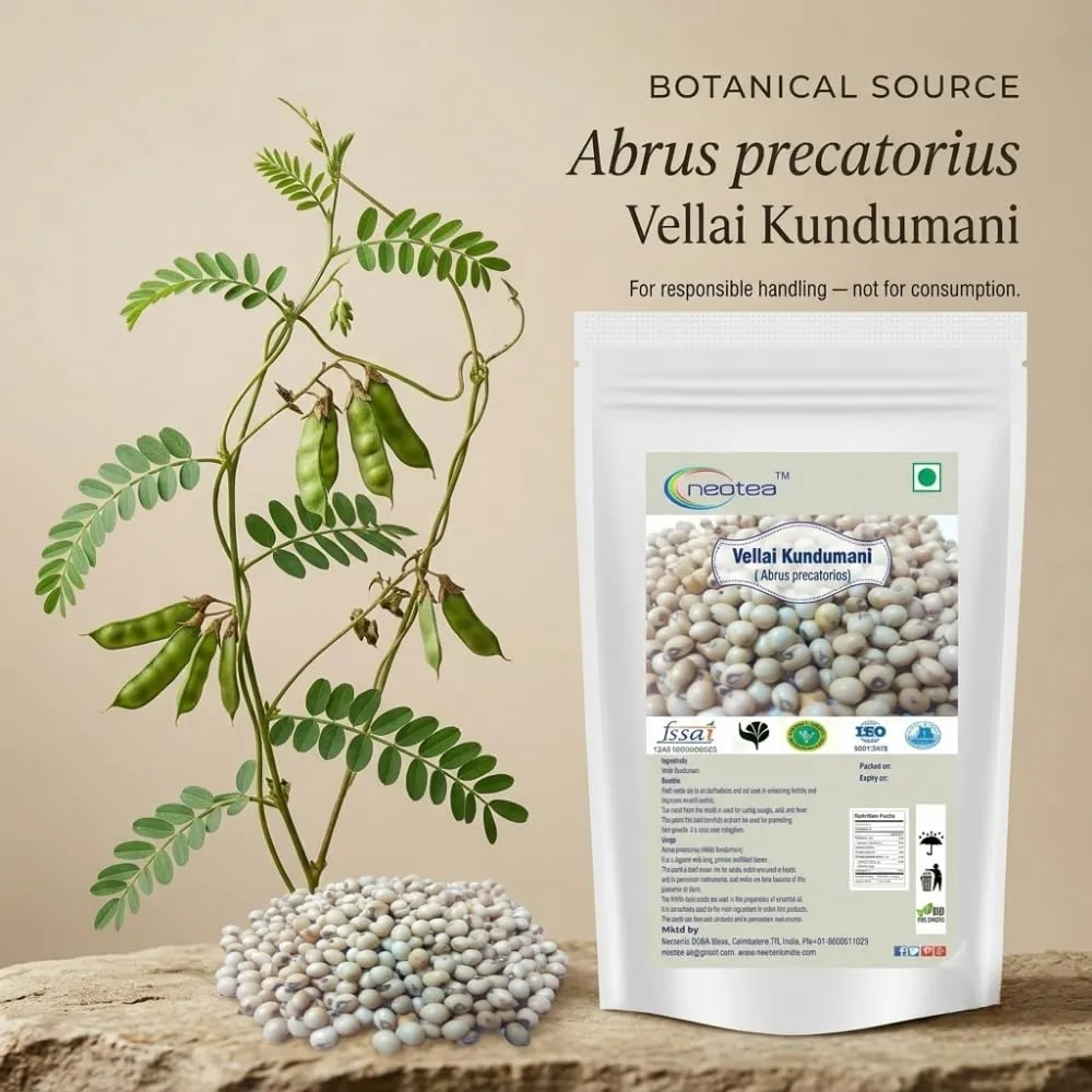 Vellai Kundumani Gulugunji Ratti Seeds | Abrus Precatorius White Variety | Natural, Raw & Unprocessed Seeds | Ideal for Traditional and Research Use | No Additives or Preservatives