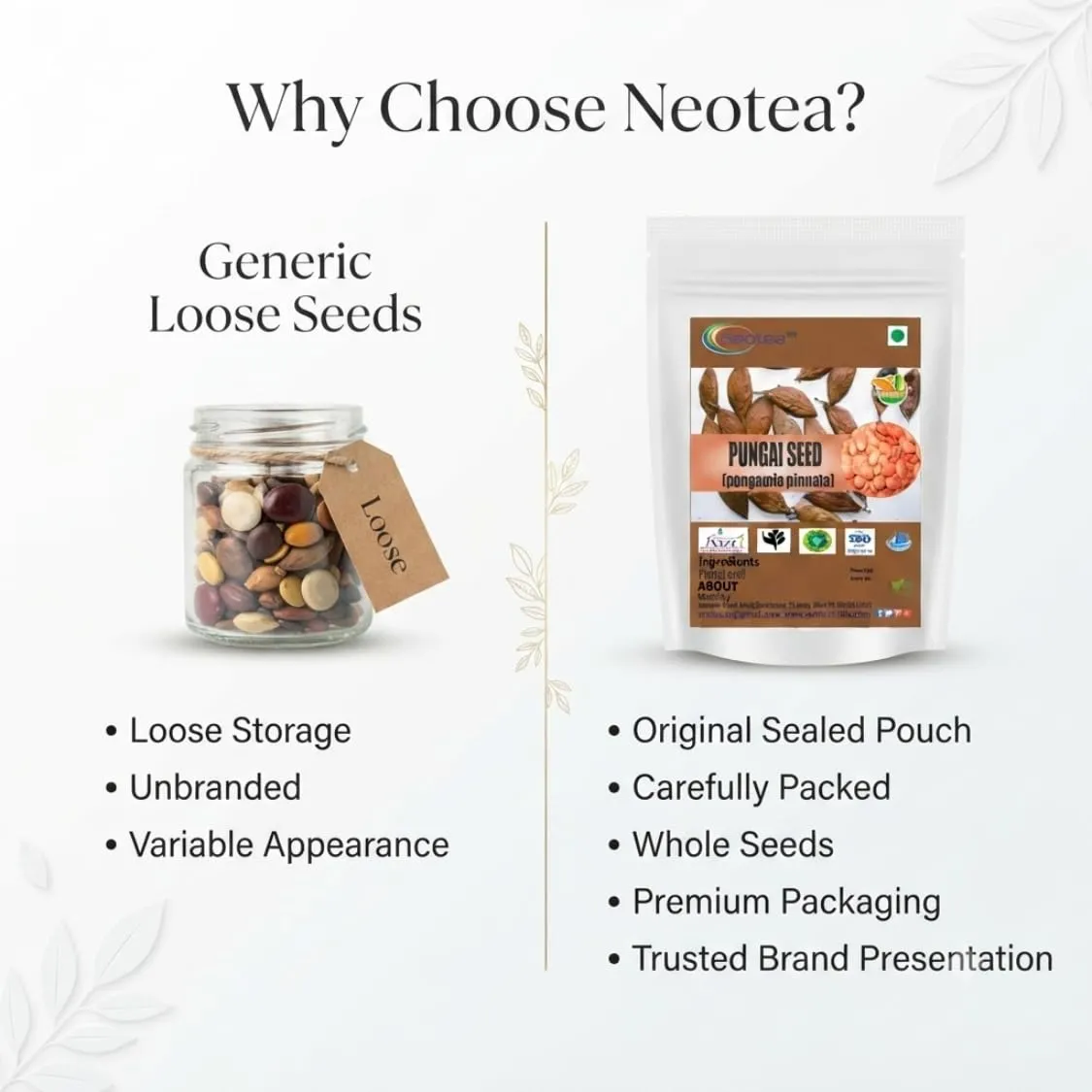 Pungai Seed (Whole Raw Seeds) | Dried Pungai Seeds | Naturally Sourced Herbal Seeds | Traditional Indian Herbal Ingredient | Carefully Cleaned & Packed | 100% Natural