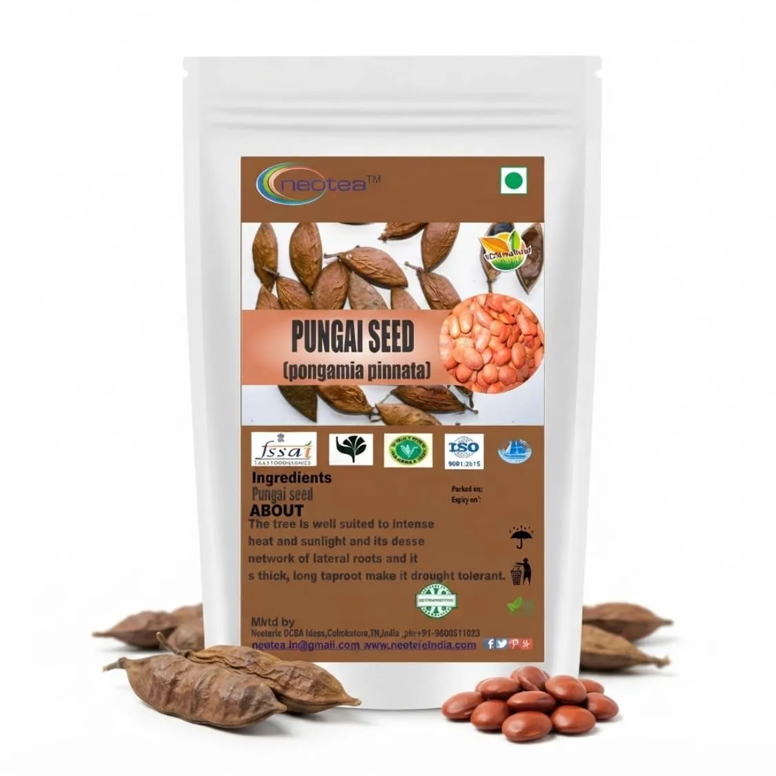 Pungai Seed (Whole Raw Seeds) | Dried Pungai Seeds | Naturally Sourced Herbal Seeds | Traditional Indian Herbal Ingredient | Carefully Cleaned & Packed | 100% Natural