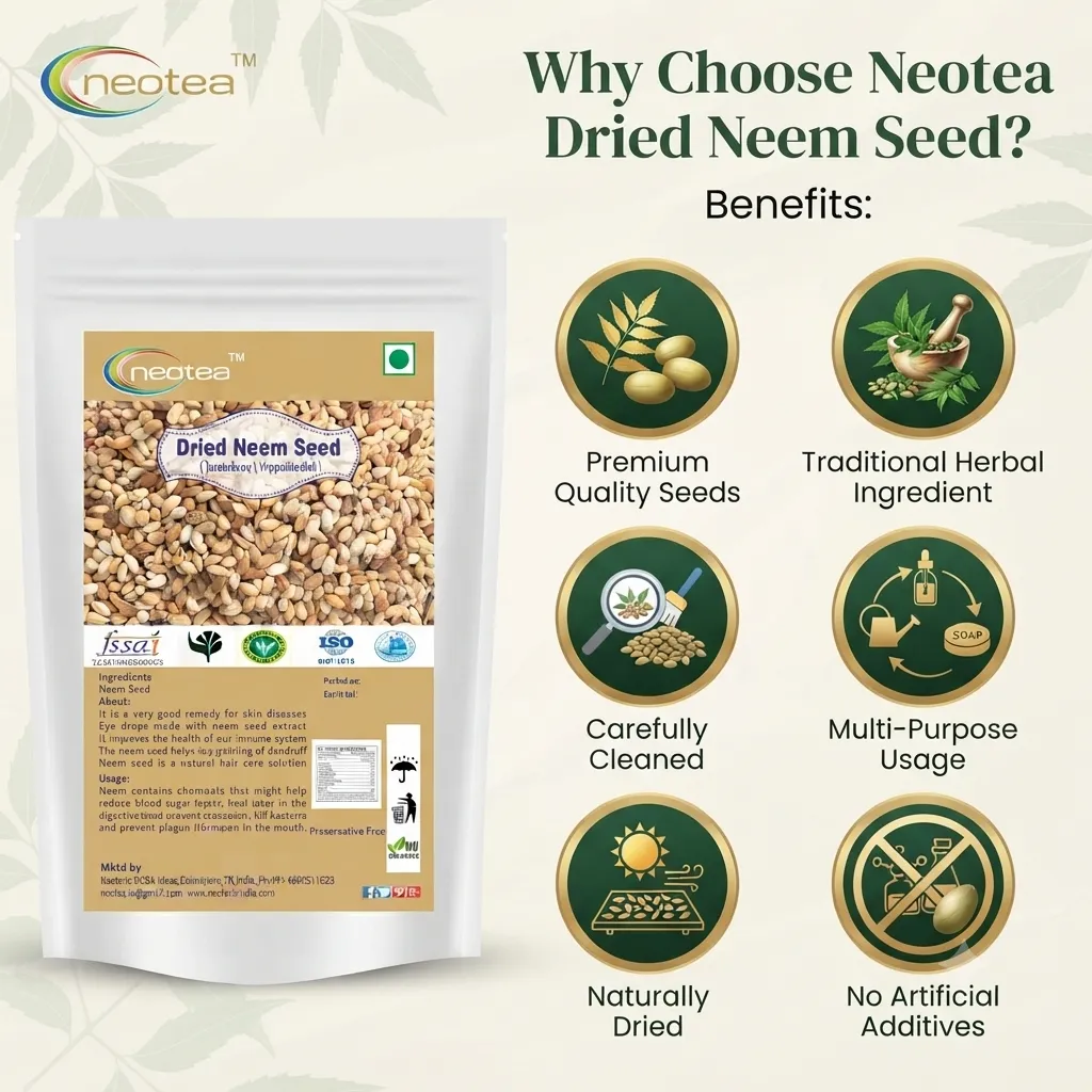 Dried Neem Seeds | Whole Raw Neem Seeds | Naturally Dried Herbal Seeds | Unprocessed Neem Seed for Traditional Uses, Gardening & Everyday Herbal Practices | No Added Preservatives
