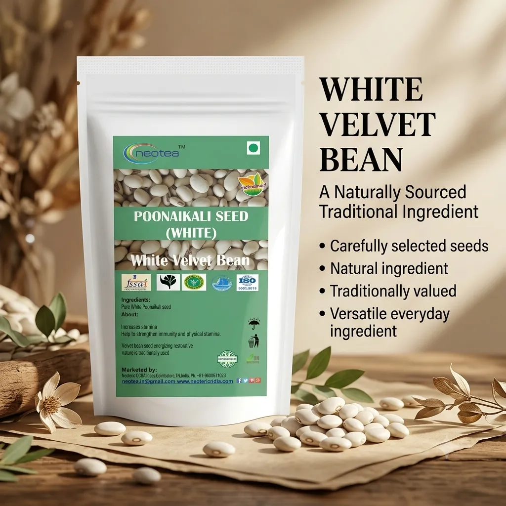 White Poonaikali Seed Raw Herbal Seeds | Traditional Indian Herb | Whole Dried Poonaikali Seeds | Natural Herbal Ingredient for Traditional Preparations | Unprocessed Seeds