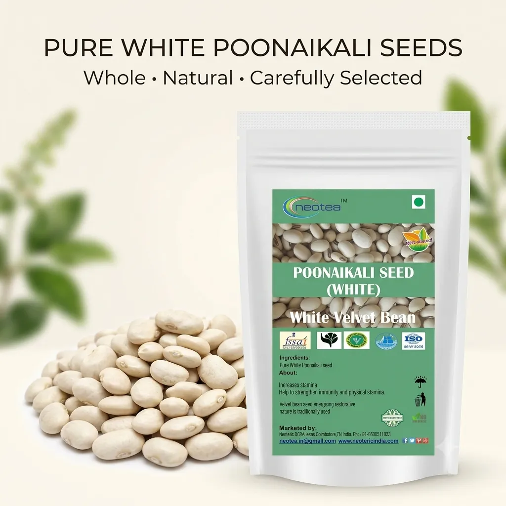 White Poonaikali Seed Raw Herbal Seeds | Traditional Indian Herb | Whole Dried Poonaikali Seeds | Natural Herbal Ingredient for Traditional Preparations | Unprocessed Seeds