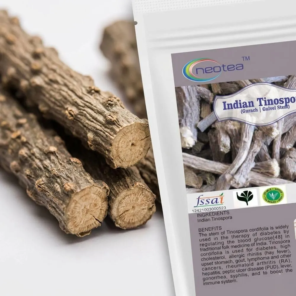 Gulvel Stem Raw Herb | Giloy Stem Dried Whole Herbal Ingredient | Tinospora Cordifolia Stem | Traditional Herbal Ingredient for Home Use, Herbal Preparations & Wellness Routines