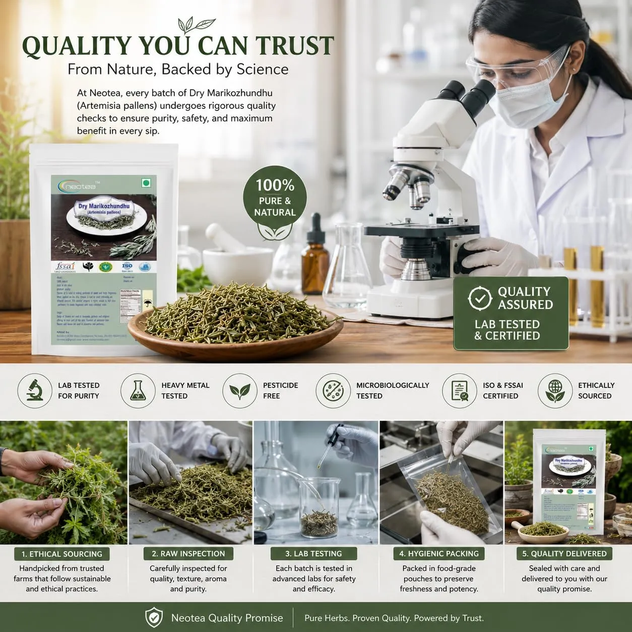 Marikozhundhu Raw Herb | Dried Marikozhundhu Leaves | Aromatic Traditional Herbal Ingredient | Natural Whole Herb for Home Use, Herbal Preparations & Pooja