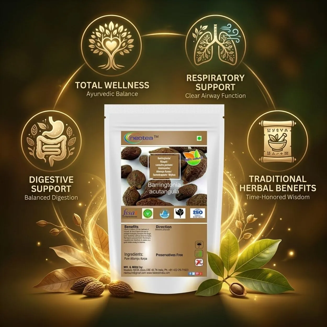 Samudra Pazham Raw Herbal (Barringtonia) | Whole Dried Samudra Pazham | Traditional Indian Herb for Herbal Preparations | Natural Dried Herb | Authentic Raw Herbal Ingredient